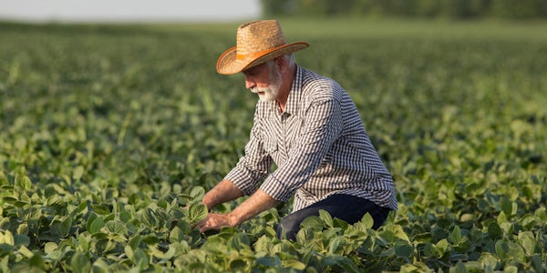 Farmer performing sustainability on his farm
